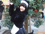 AkibaBlog