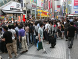 囲まれ具合は、ずっとこんな感じだったみたい