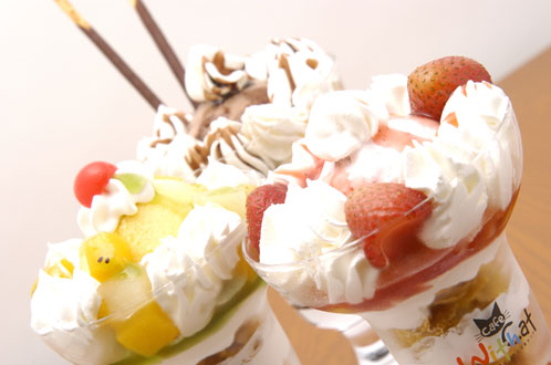 Cafe with Cat�������ץ�᤬���ƥͥ��ޤä�����