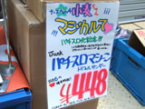 �ѥ������ޥ�����
