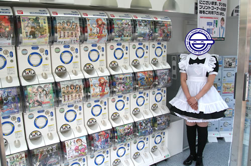 秋葉原のヨドバシにメイド店員