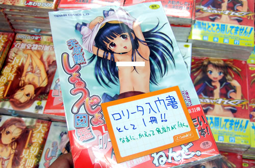 未成熟しょうじょ図鑑 「ロリータ入門書として一冊!なあに、かえって免疫力が付く」