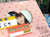 嘘つきアリスとくじら号をめぐる冒険